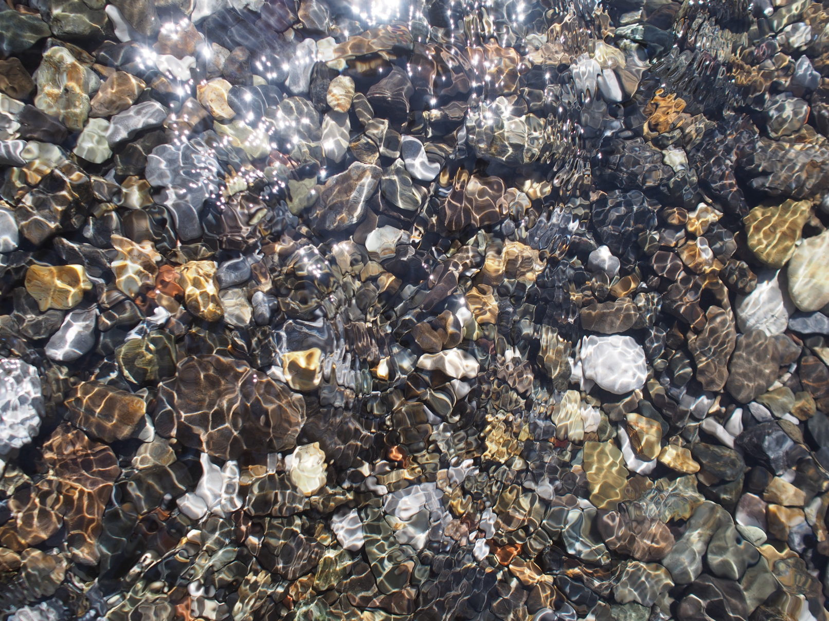 BBQひぐらし,武儀川